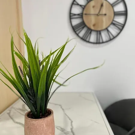 Nest For Rest Apartment
