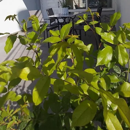 Apartment Nest For Rest Karpathos Town (Pigadia)